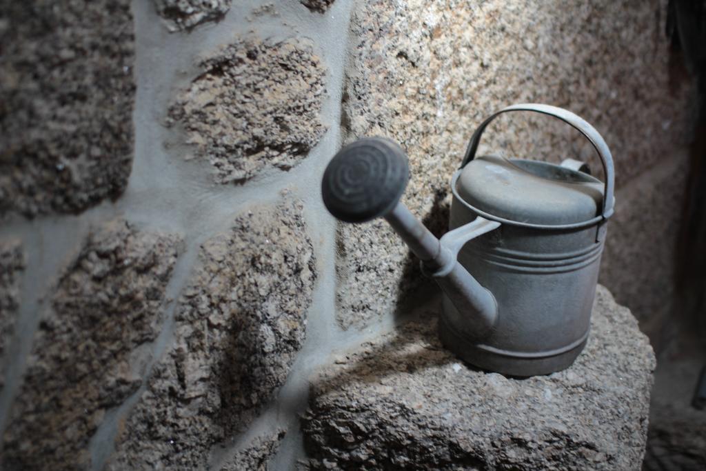 Willa Quinta Casa Da Fonte Vieira do Minho Zewnętrze zdjęcie